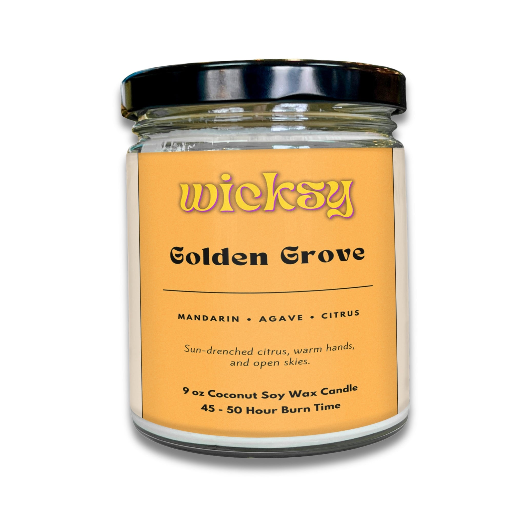 Single Wick Candles - Collective Awakening