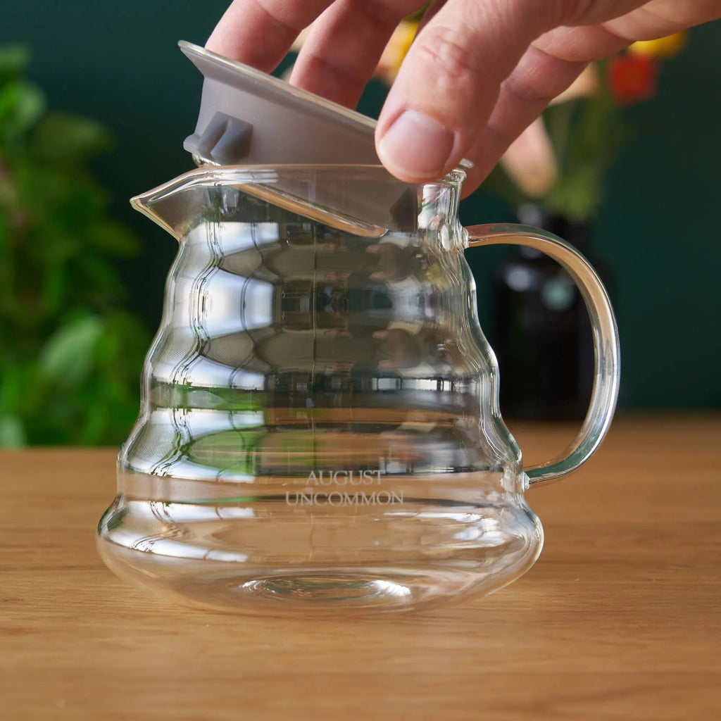 Two Cup Glass Teapot - The Perfect Basic Teapot - Collective Awakening