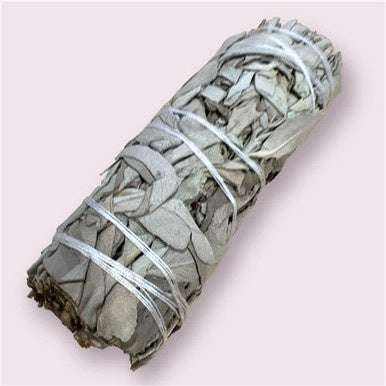 White Sage Smudge Stick (4 in.) - Collective Awakening