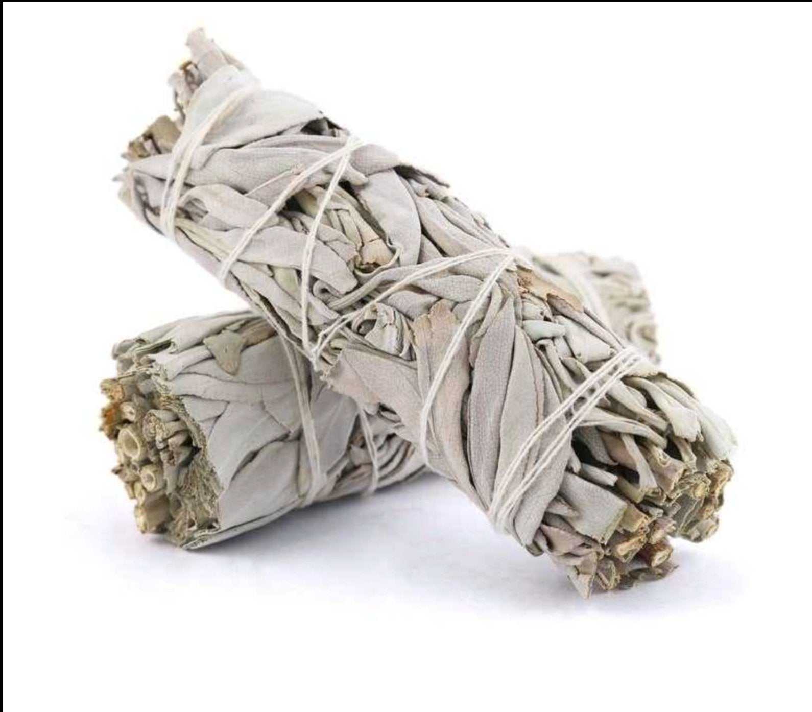 White Sage Smudge Stick (4 in.) - Collective Awakening