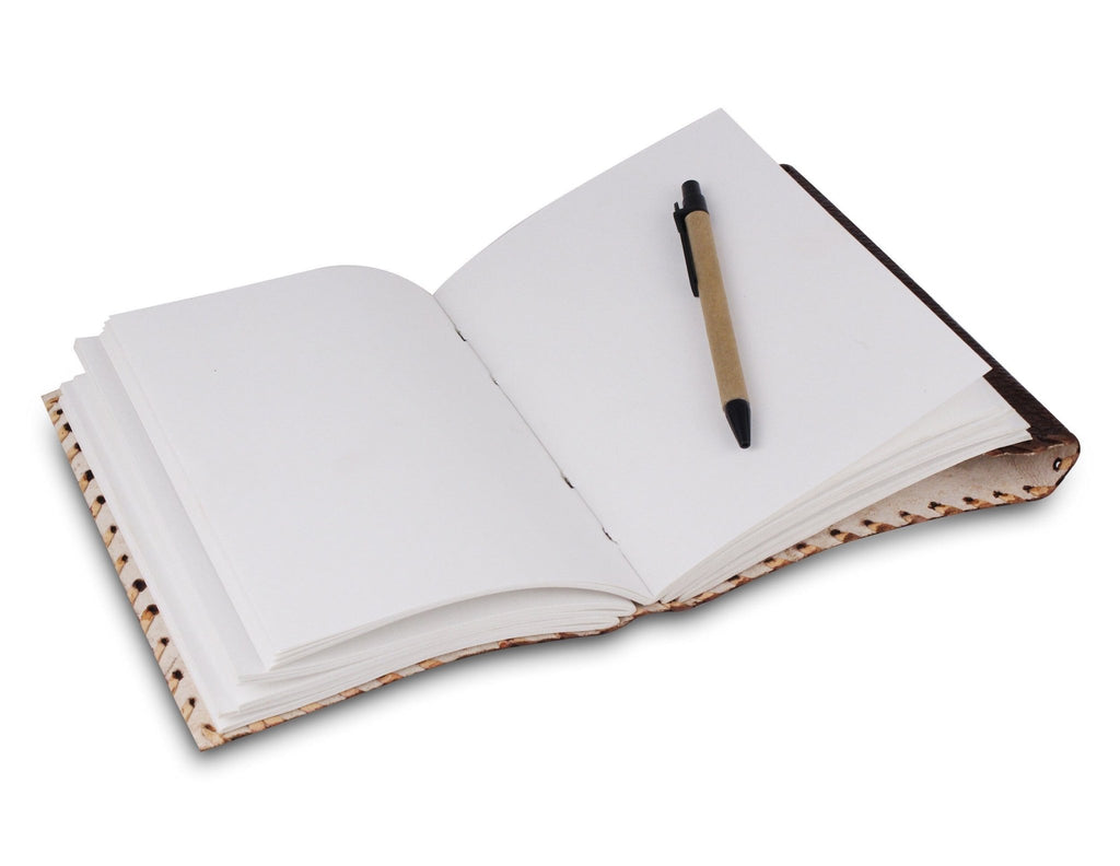 The Mohenjo - daro Journal - Collective Awakening