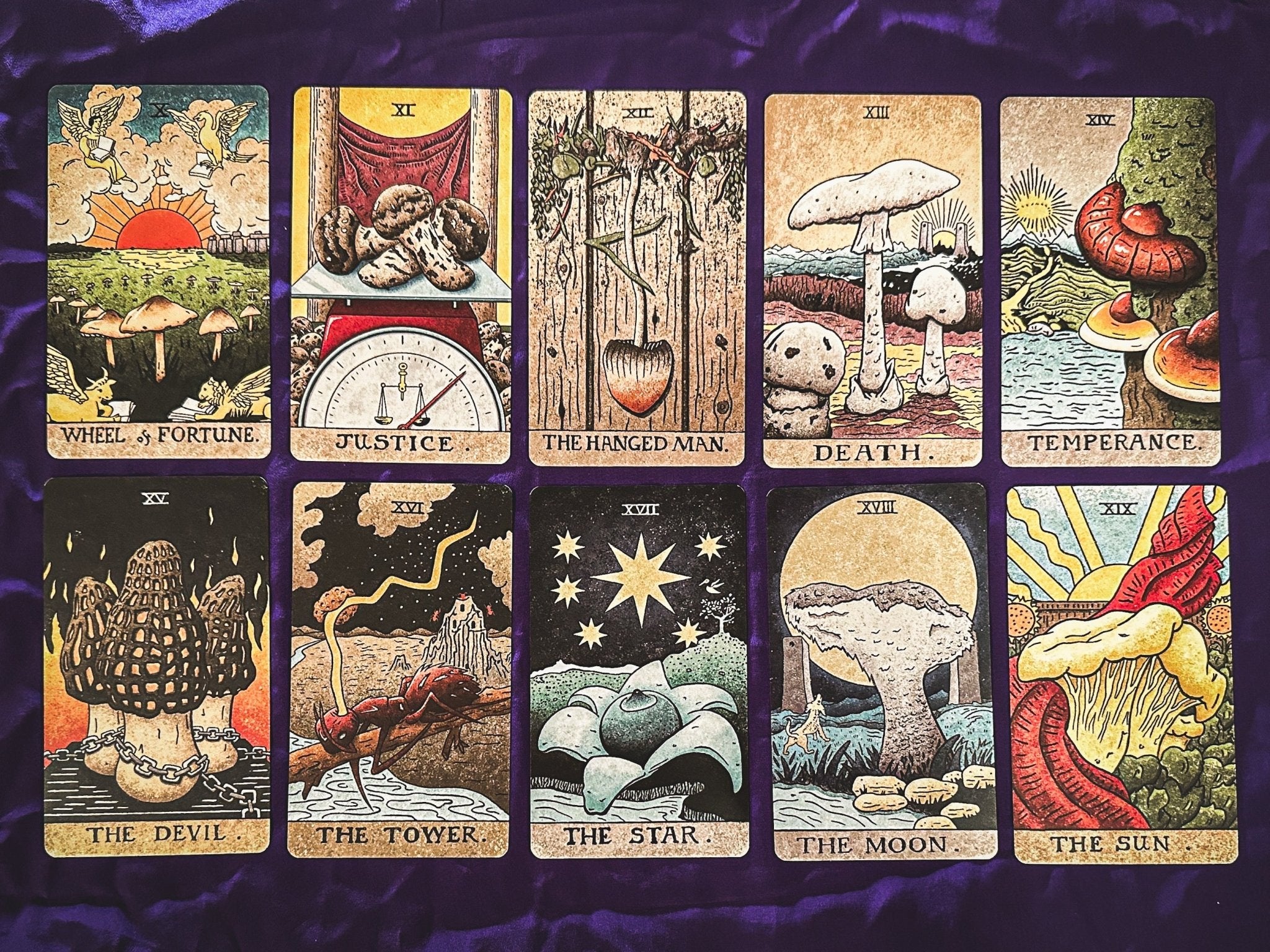 THE MUSHROOM HUNTER'S ARCANUM: A Tarot Deck for Mushroom Hunters - Collective Awakening
