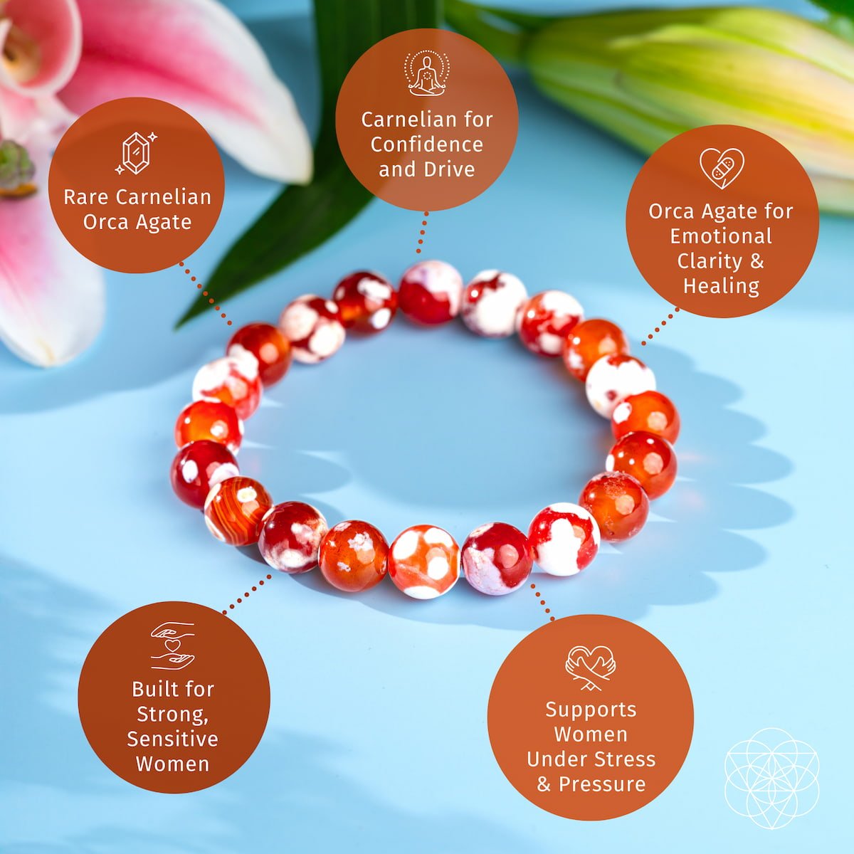 Feminine Force – Carnelian Orca Agate Bracelet - Collective Awakening