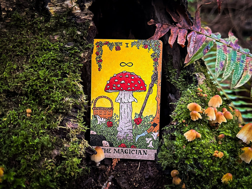 THE MUSHROOM HUNTER'S ARCANUM: A Tarot Deck for Mushroom Hunters - Collective Awakening