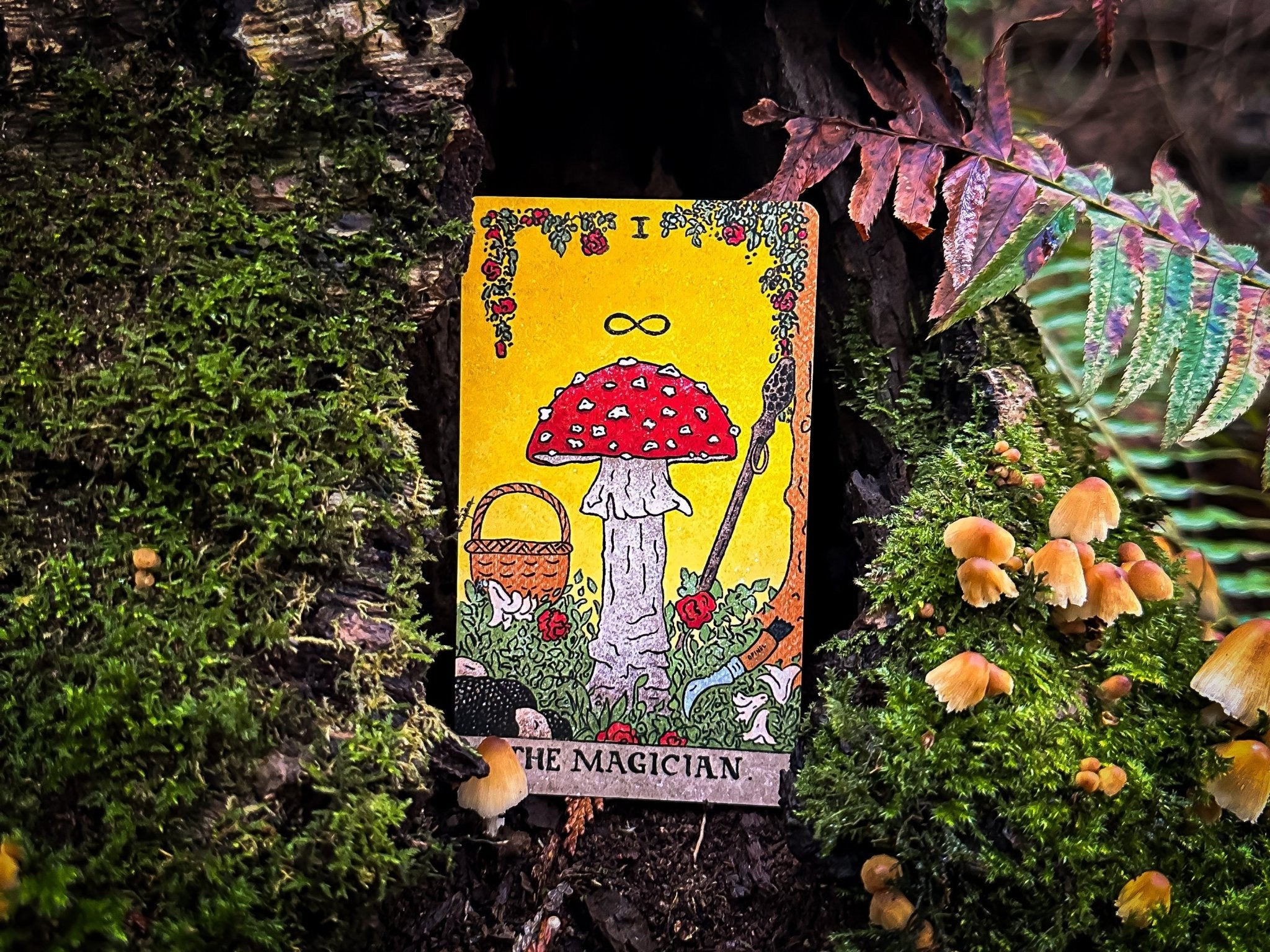 THE MUSHROOM HUNTER'S ARCANUM: A Tarot Deck for Mushroom Hunters - Collective Awakening