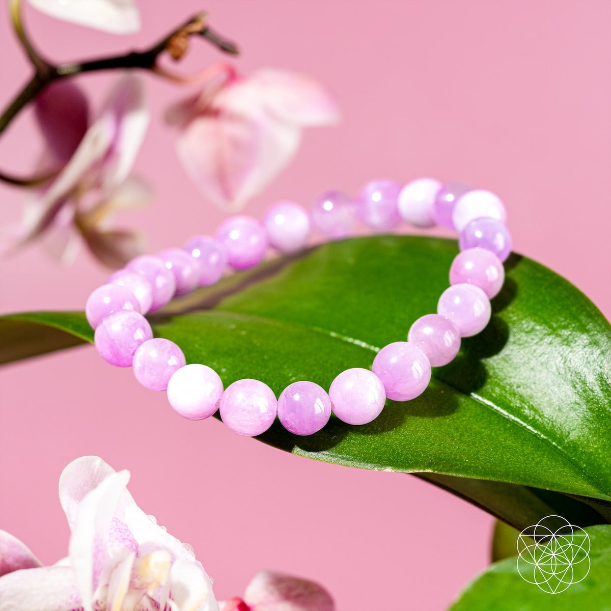 The Heart Reset - Rare Pink Kunzite Bracelet - Collective Awakening