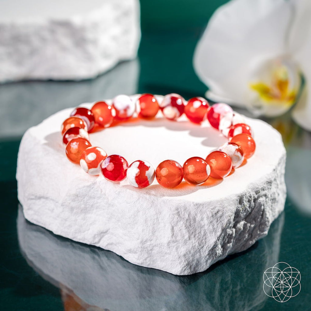 Feminine Force – Carnelian Orca Agate Bracelet - Collective Awakening