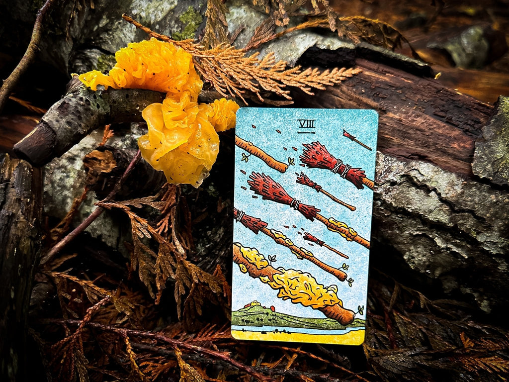 THE MUSHROOM HUNTER'S ARCANUM: A Tarot Deck for Mushroom Hunters - Collective Awakening