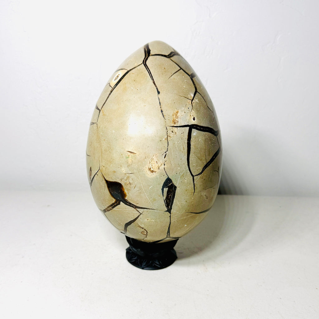 Large Black Septarian Dragon Egg with Dark Druzy Cavity – 10.2 lb Display Specimen with Dark Lotus Stand (Gift) - Collective Awakening