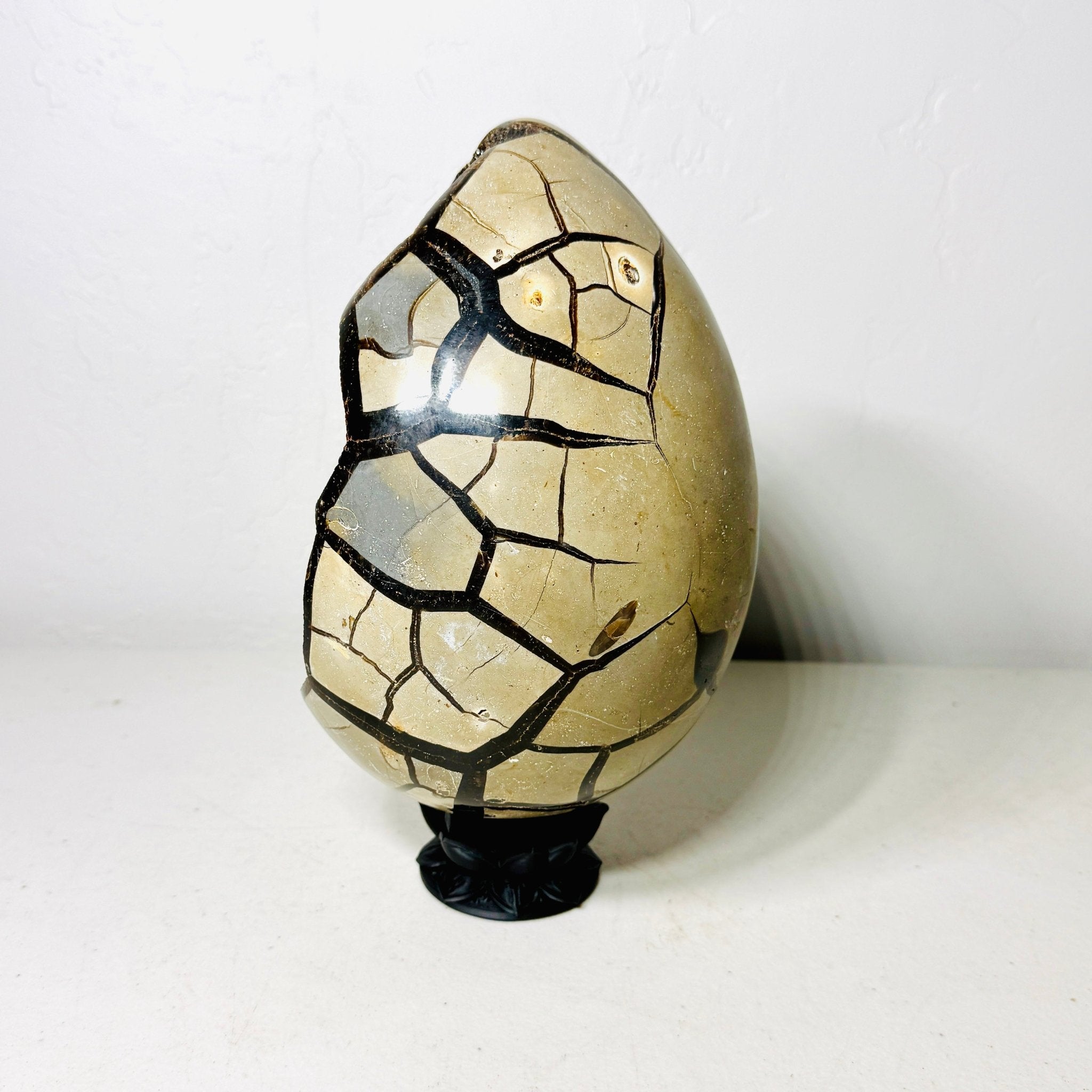 Large Black Septarian Dragon Egg with Dark Druzy Cavity – 10.2 lb Display Specimen with Dark Lotus Stand (Gift) - Collective Awakening