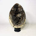 Large Black Septarian Dragon Egg with Dark Druzy Cavity – 10.2 lb Display Specimen with Dark Lotus Stand (Gift) - Collective Awakening