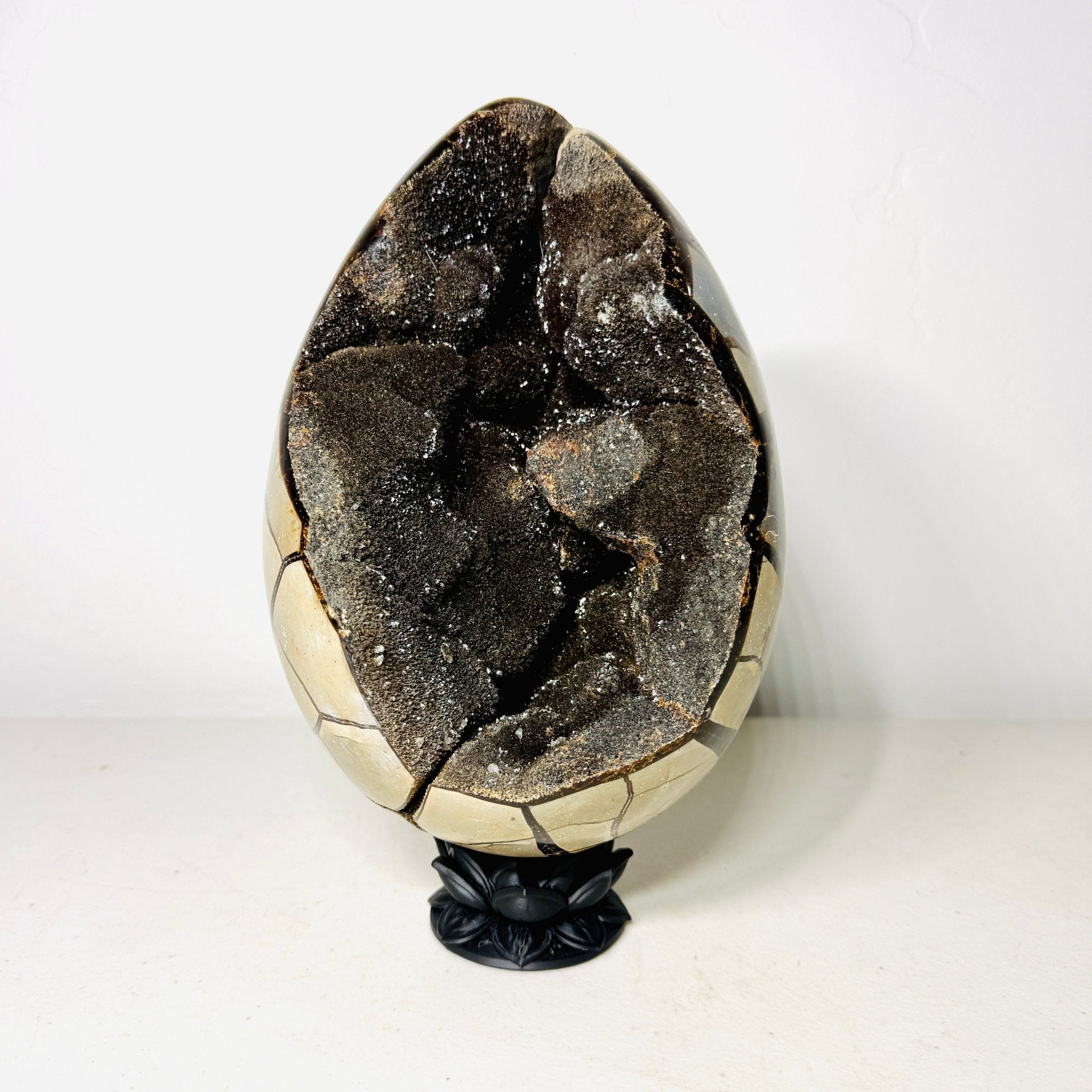 Large Black Septarian Dragon Egg with Dark Druzy Cavity – 10.2 lb Display Specimen with Dark Lotus Stand (Gift) - Collective Awakening