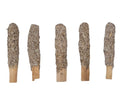 Palo Santo and Blue Sage - Collective Awakening