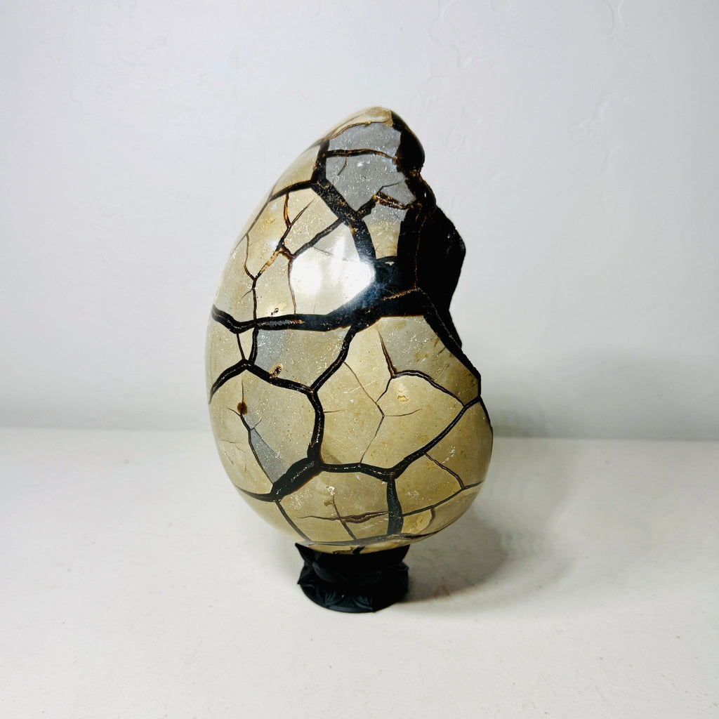 Large Black Septarian Dragon Egg with Dark Druzy Cavity – 10.2 lb Display Specimen with Dark Lotus Stand (Gift) - Collective Awakening