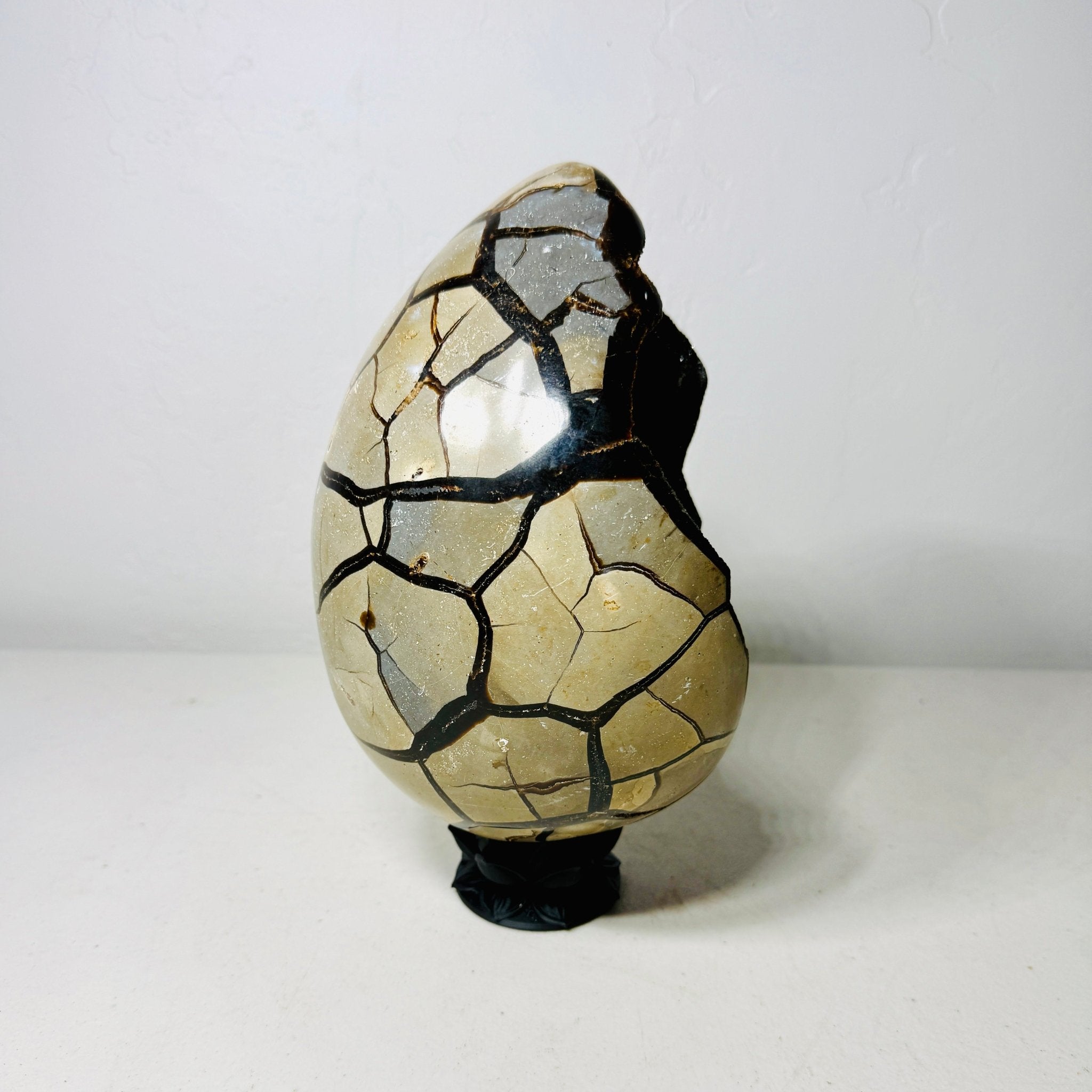 Large Black Septarian Dragon Egg with Dark Druzy Cavity – 10.2 lb Display Specimen with Dark Lotus Stand (Gift) - Collective Awakening
