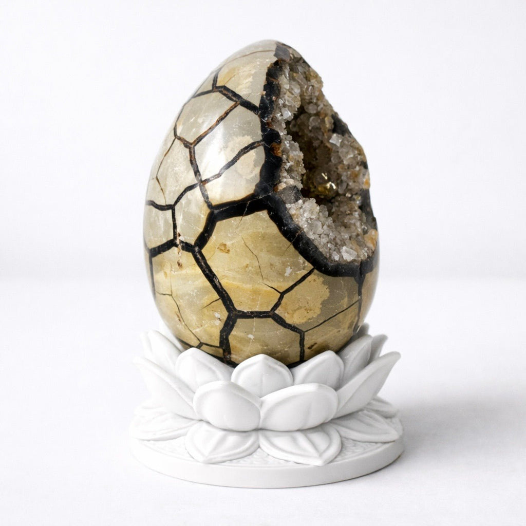 White Lotus Crystal Egg Stand – Choose Your Egg - Collective Awakening