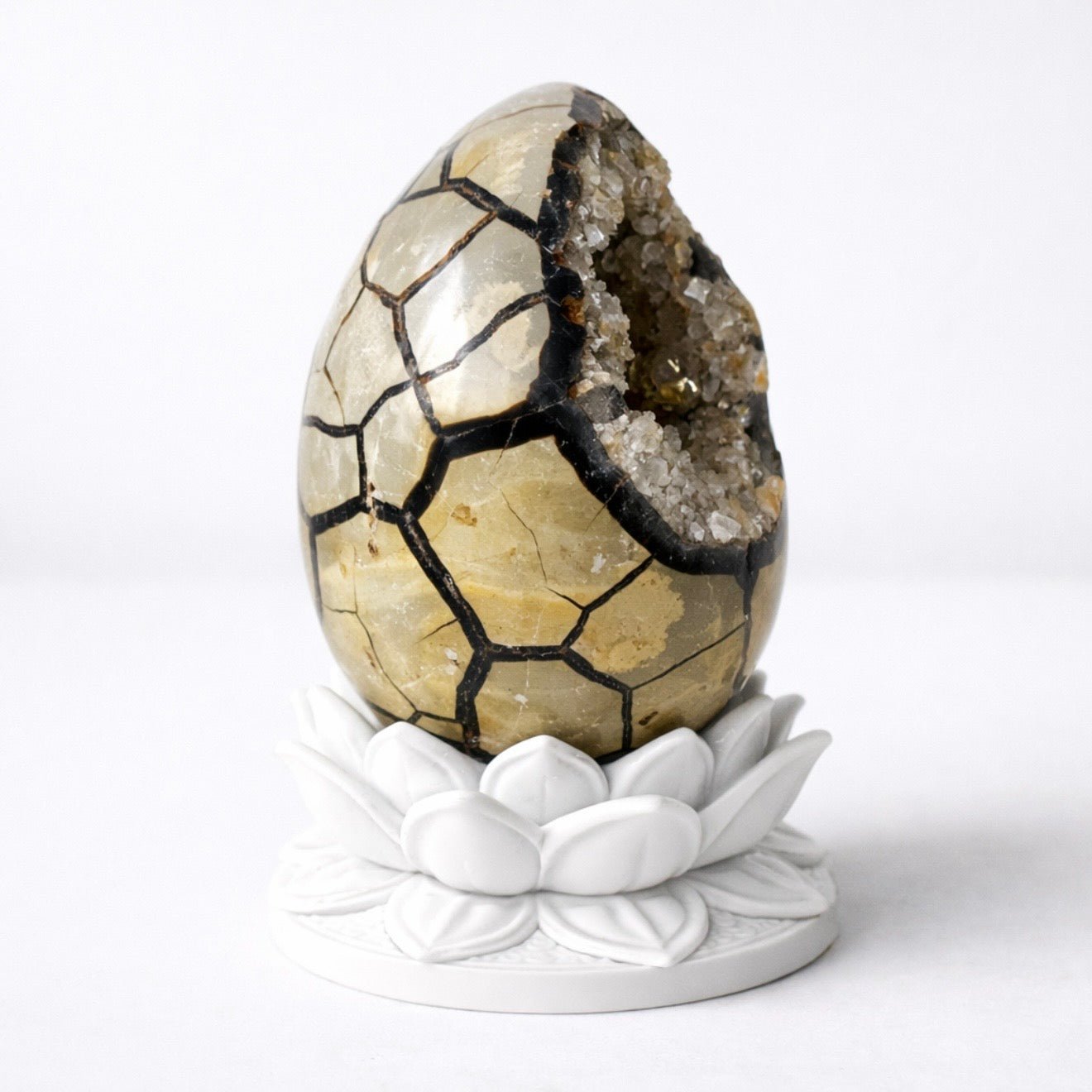 White Lotus Crystal Egg Stand – Choose Your Egg - Collective Awakening