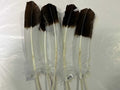 Smudge Feather - Faux Eagle (Turkey) - Collective Awakening