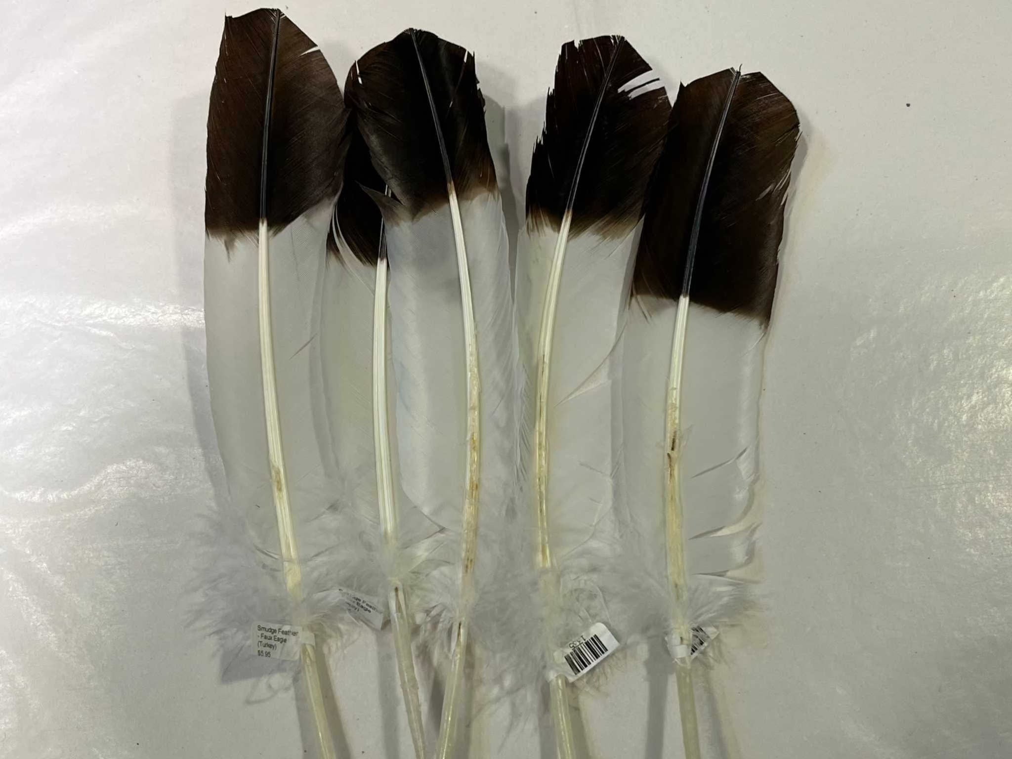 Smudge Feather - Faux Eagle (Turkey) - Collective Awakening