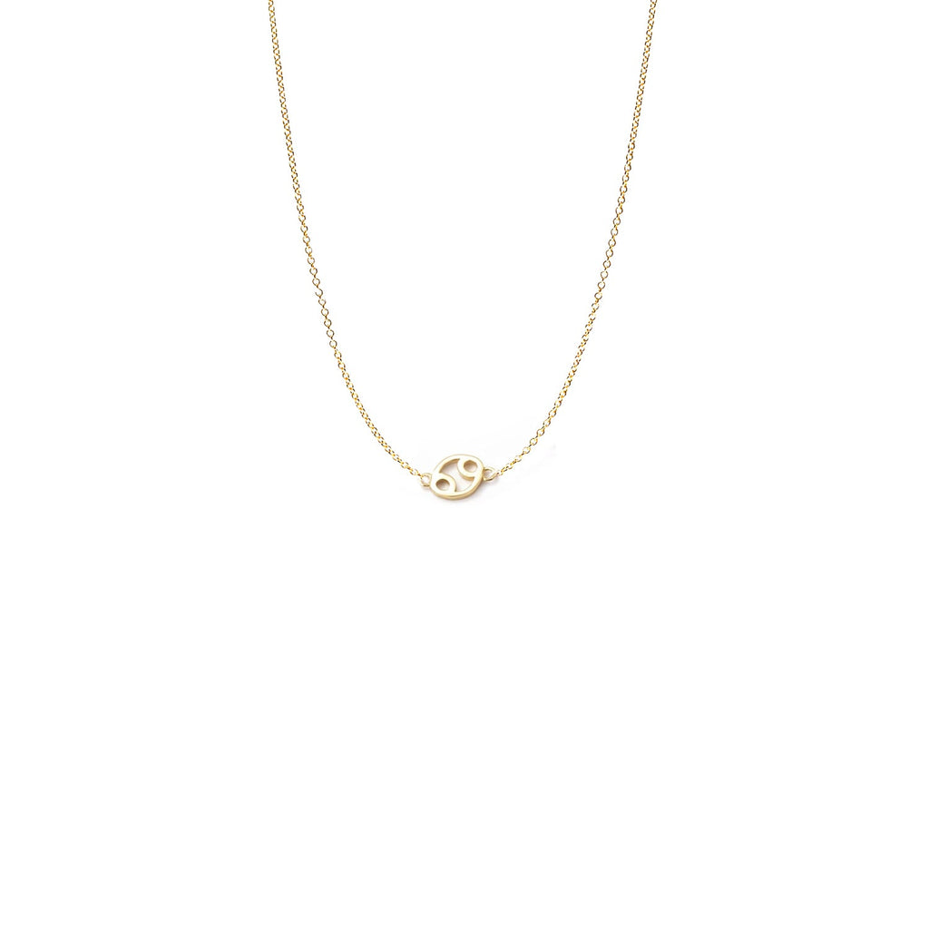 Mini Zodiac Necklace - Collective Awakening