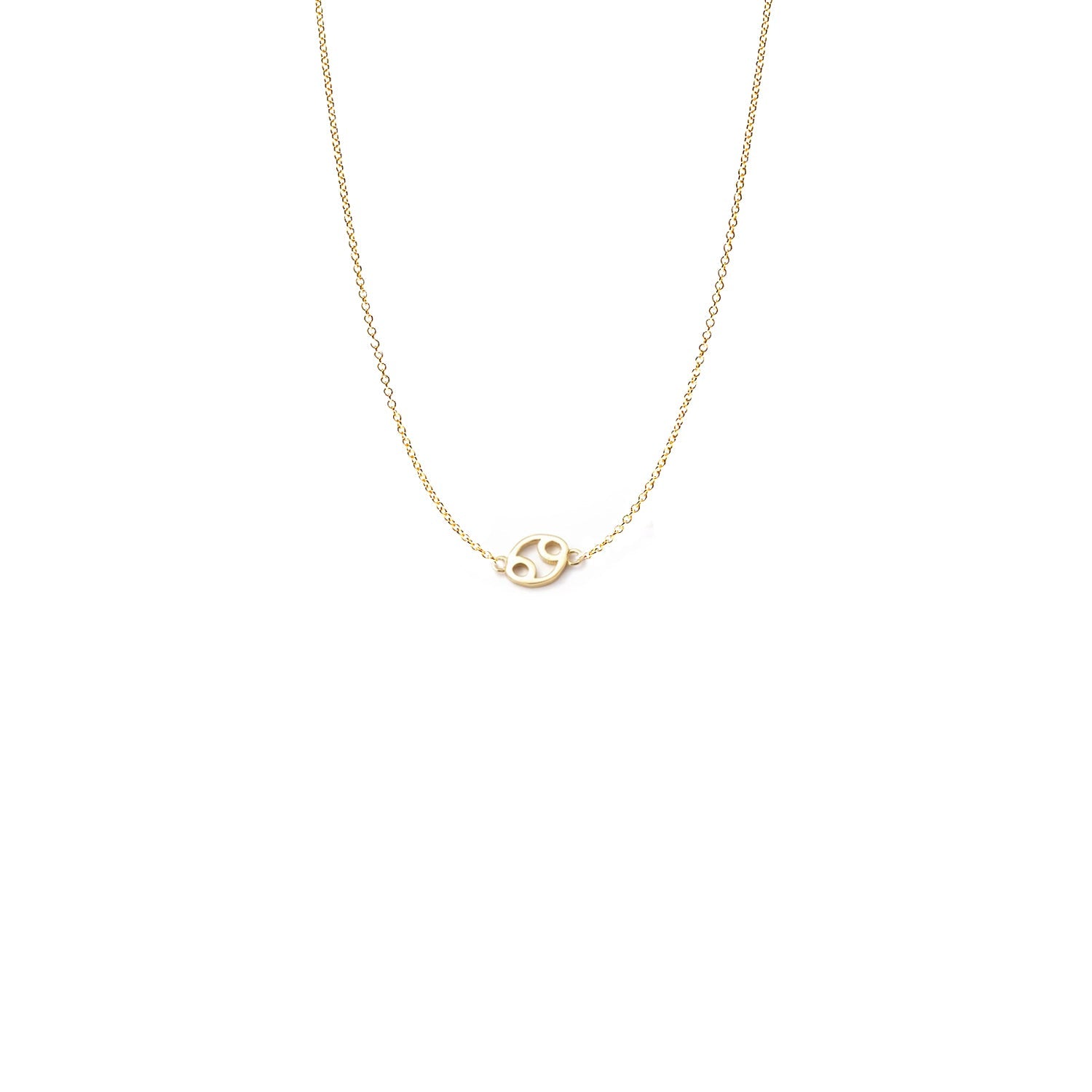 Mini Zodiac Necklace - Collective Awakening