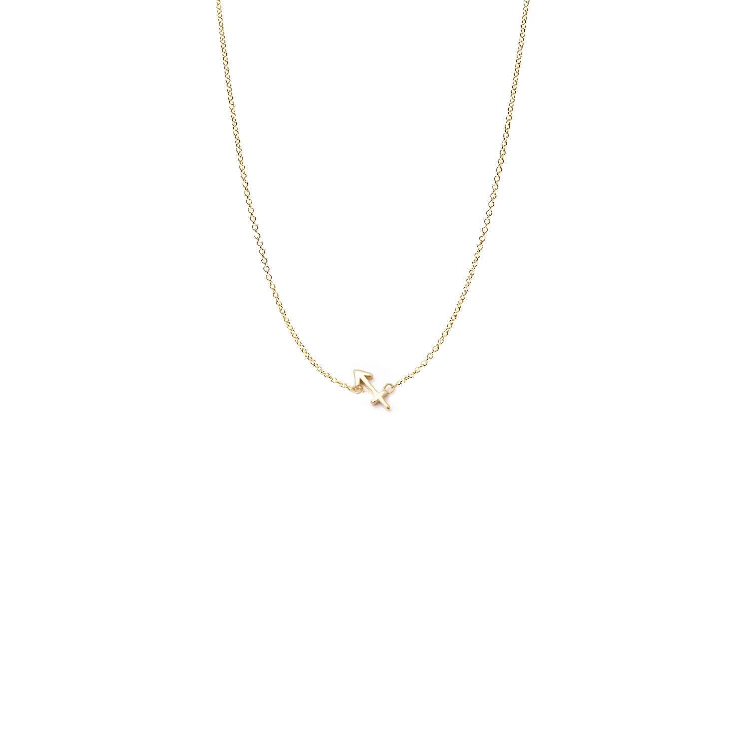 Mini Zodiac Necklace - Collective Awakening