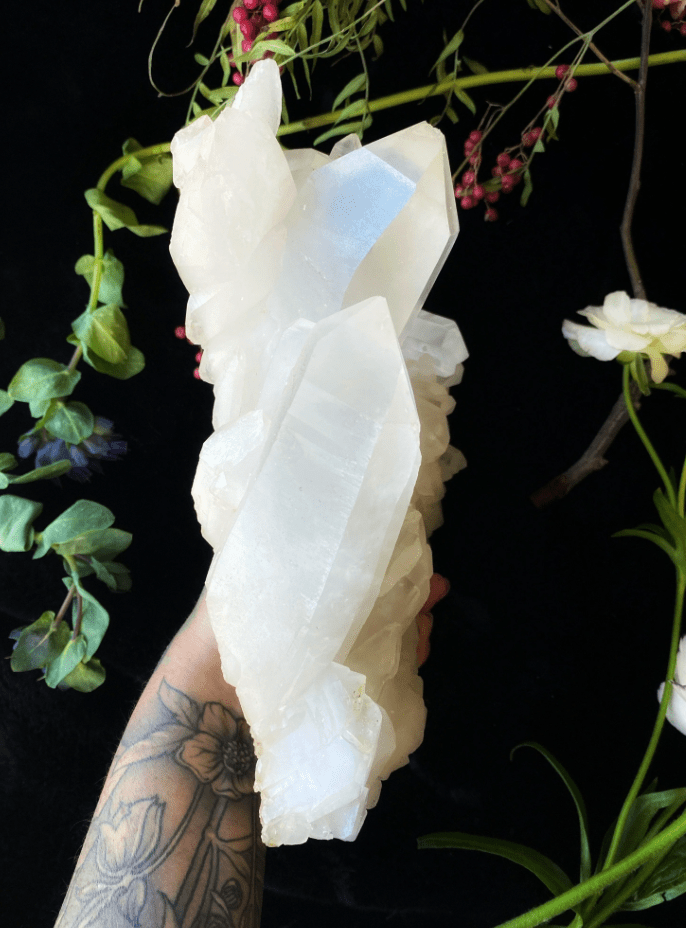 Himalayan Clear Quartz on Matrix XL - 5.8LBS A++ GRADE - Collective Awakening