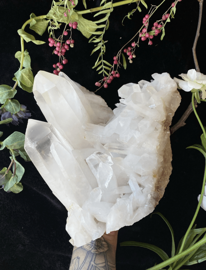 Himalayan Clear Quartz on Matrix XL - 5.8LBS A++ GRADE - Collective Awakening