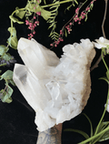 Himalayan Clear Quartz on Matrix XL - 5.8LBS A++ GRADE - Collective Awakening