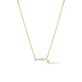Zodiac Collection Necklace - Collective Awakening