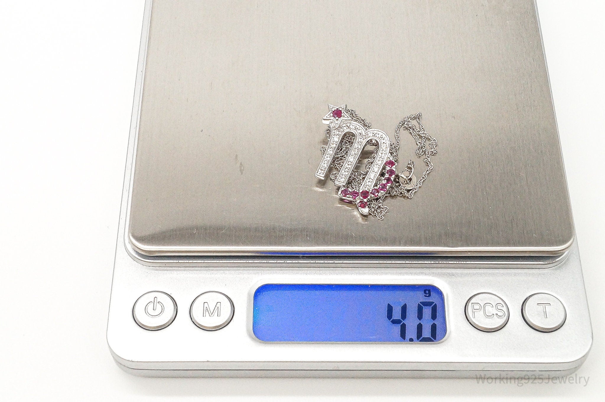 Ruby Cubic Zirconia Scorpio Sterling Silver Necklace - Collective Awakening