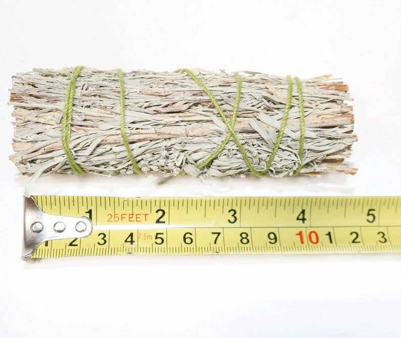 Blue Sage Smudge Stick (4 in.) - Collective Awakening