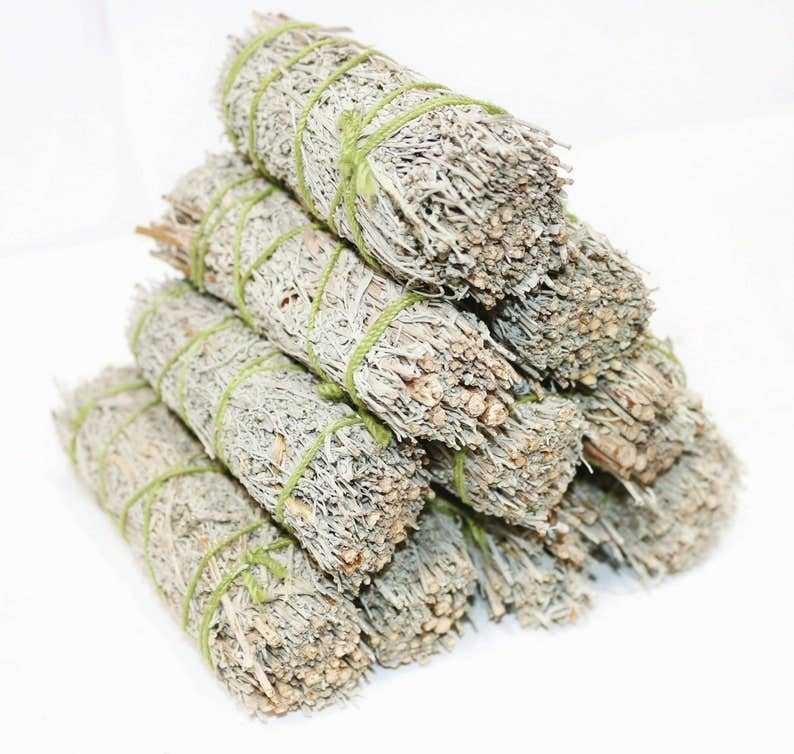 Blue Sage Smudge Stick (4 in.) - Collective Awakening