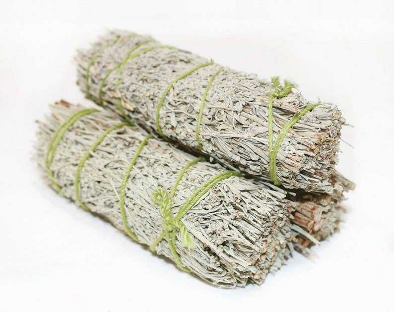 Blue Sage Smudge Stick (4 in.) - Collective Awakening