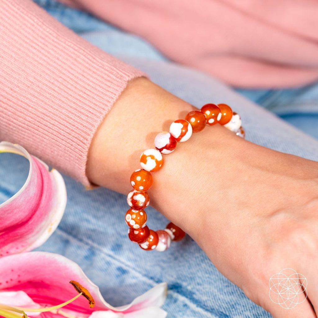 Feminine Force – Carnelian Orca Agate Bracelet - Collective Awakening