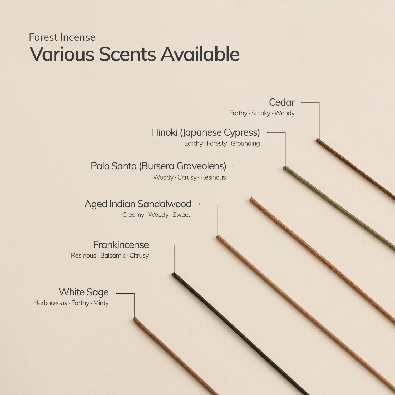 Frankincense Japanese Incense Stick Set - 30 Sticks with Ceramic Holder