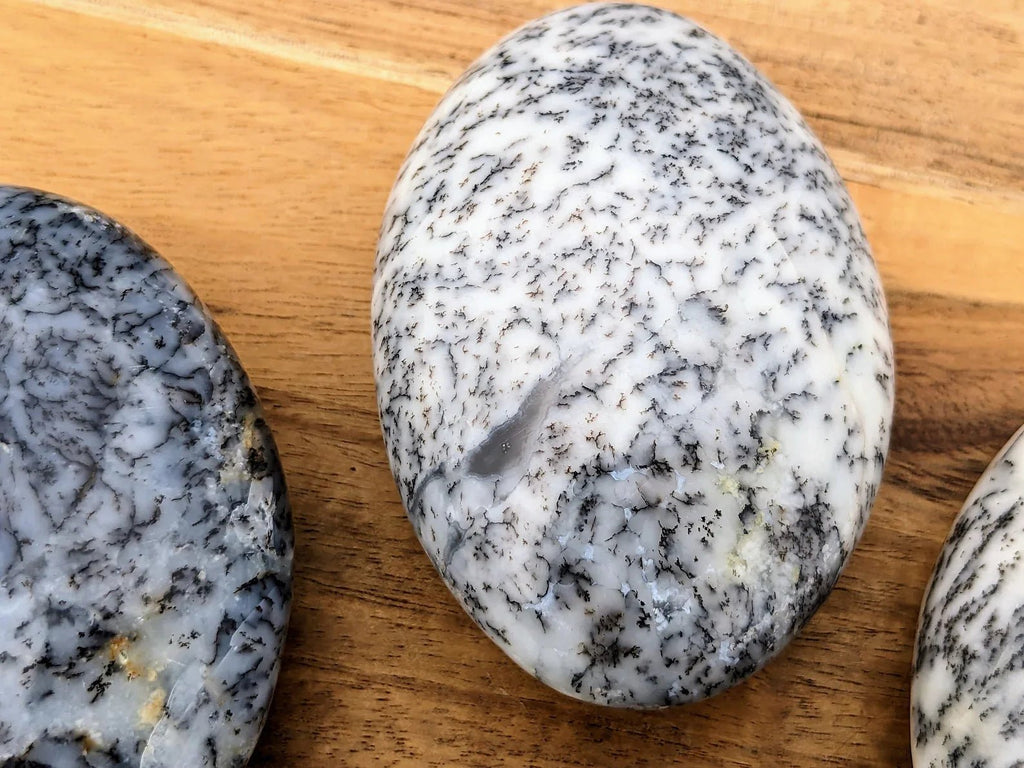 Dendritic Opal Palm Stones - Collective Awakening