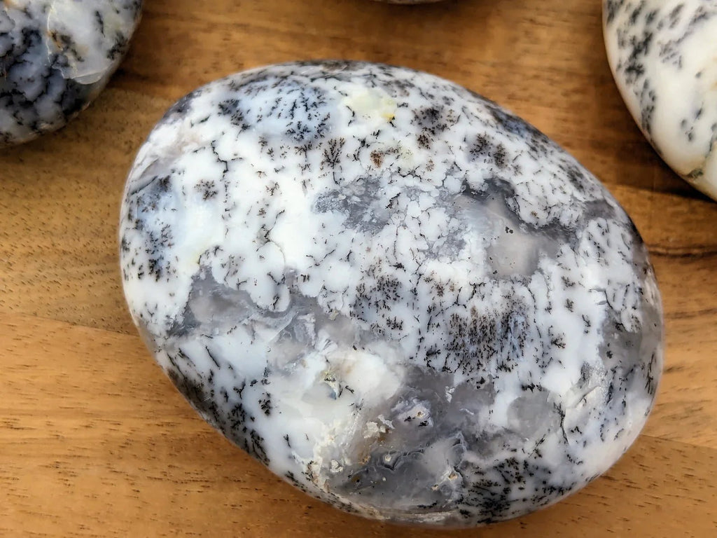 Dendritic Opal Palm Stones - Collective Awakening