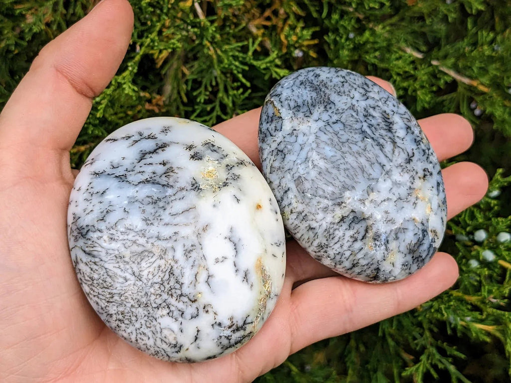 Dendritic Opal Palm Stones - Collective Awakening
