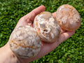 XL Flower Agate Palm Stones - Collective Awakening
