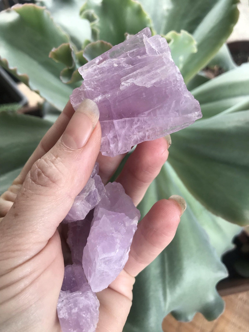 Crystal - Pink Kunzite - Collective Awakening