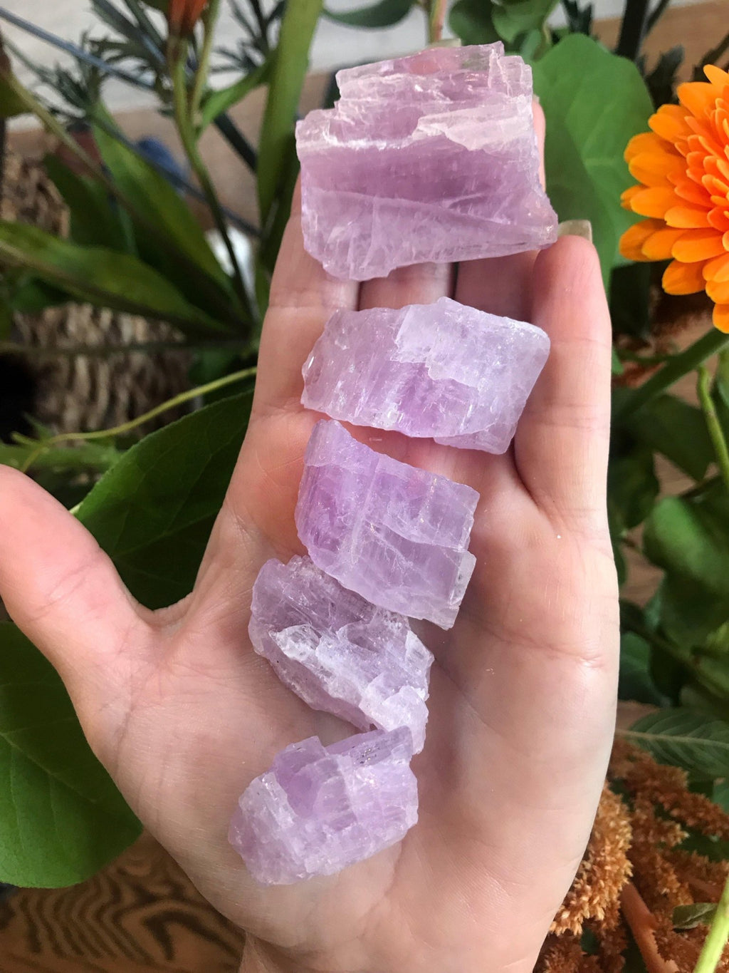 Crystal - Pink Kunzite - Collective Awakening