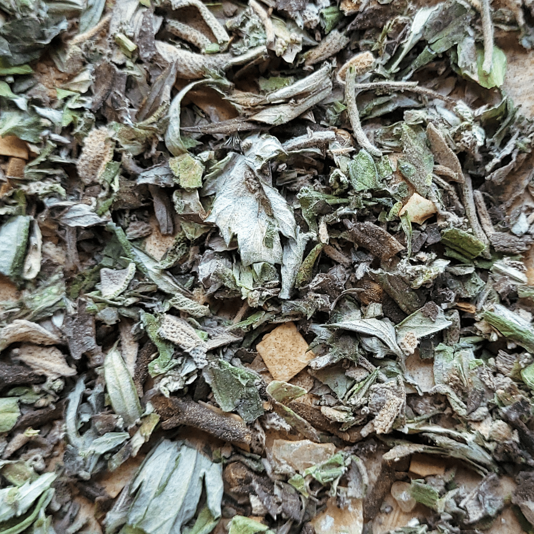 Samhain Herbal Incense – Mugwort Clove Copal Blend for Ancestral Rituals, Protection & Reflection - Collective Awakening