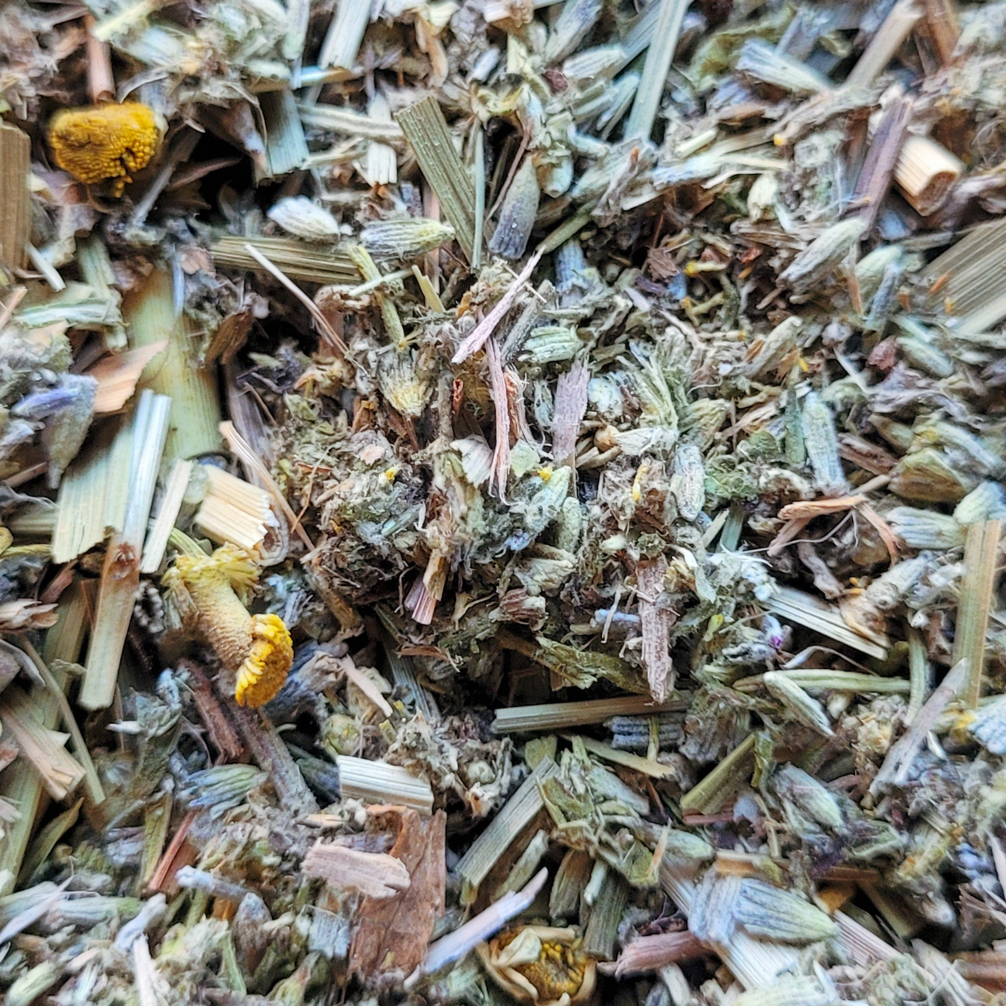 Dream Magick Herbal Incense – Collective Awakening