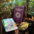THE MUSHROOM HUNTER'S ARCANUM: A Tarot Deck for Mushroom Hunters - Collective Awakening