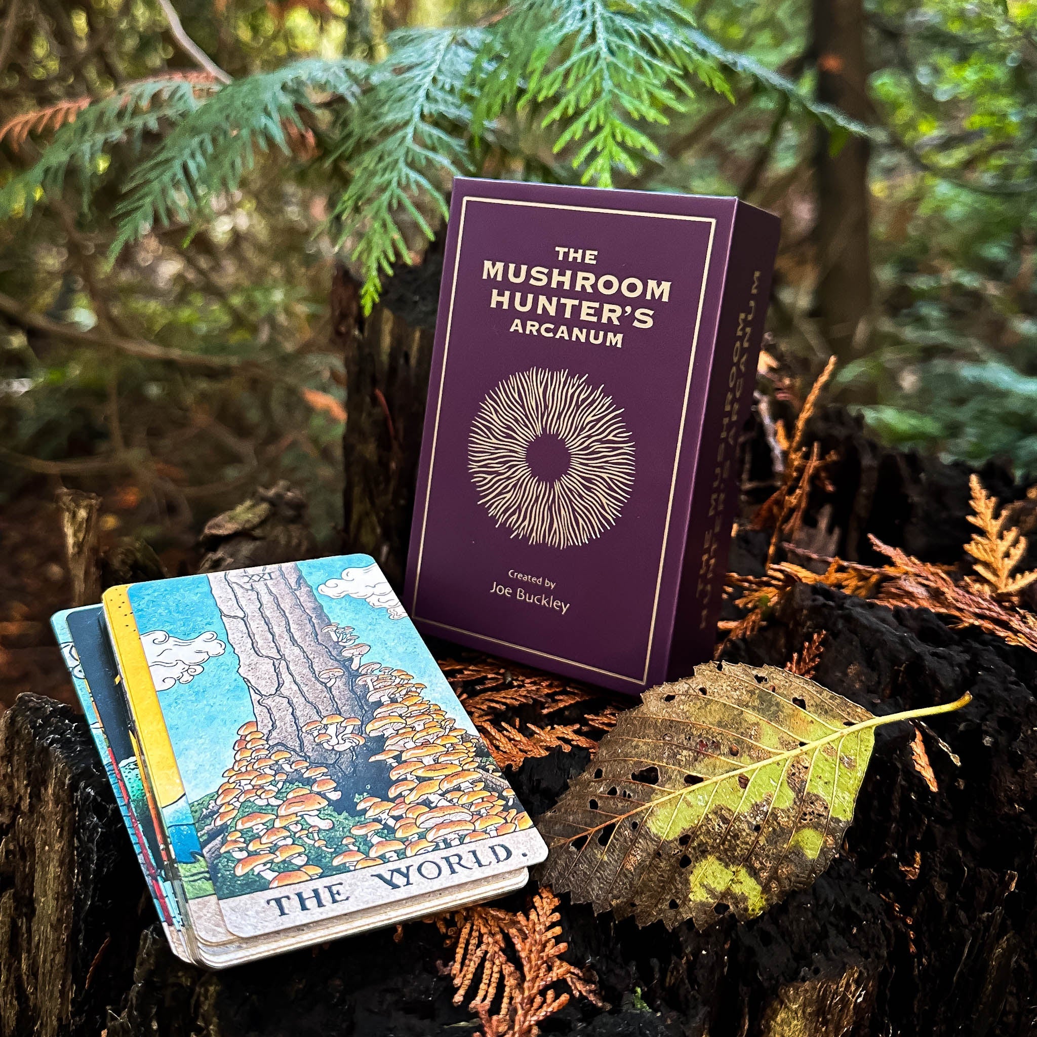 THE MUSHROOM HUNTER'S ARCANUM: A Tarot Deck for Mushroom Hunters - Collective Awakening