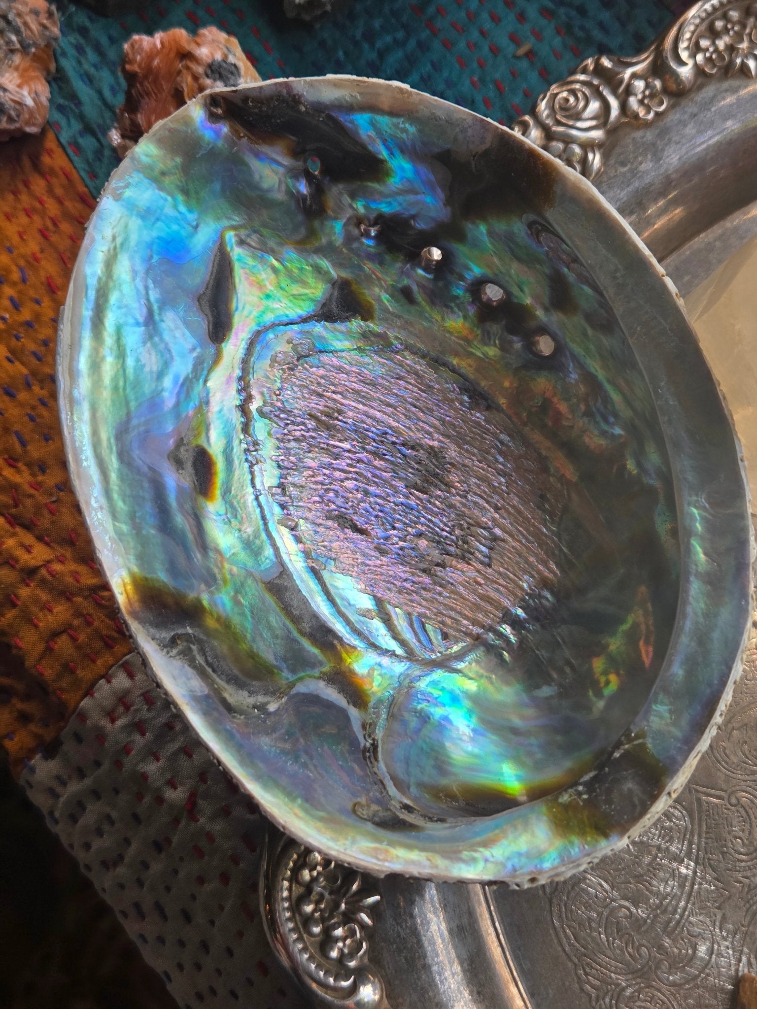 Abalone Shell Smudge Bowl (5–5.5”) - Collective Awakening