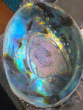 Abalone Shell Smudge Bowl (5–5.5”) - Collective Awakening