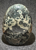 Kambaba Jasper Freeform with Druzy - Collective Awakening