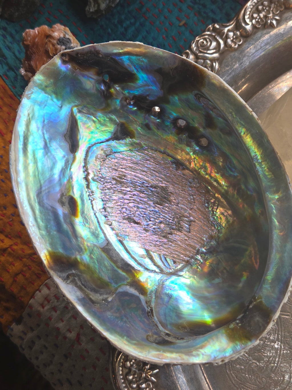 Abalone Shell Smudge Bowl (5–5.5”) - Collective Awakening